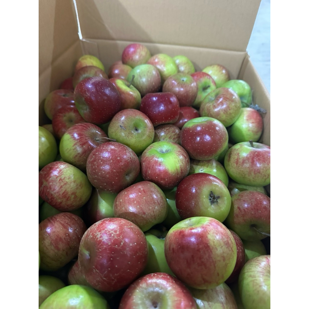 Jual Apel Rome Beauty Malang Mini ukuran 24-30 buah | Shopee Indonesia