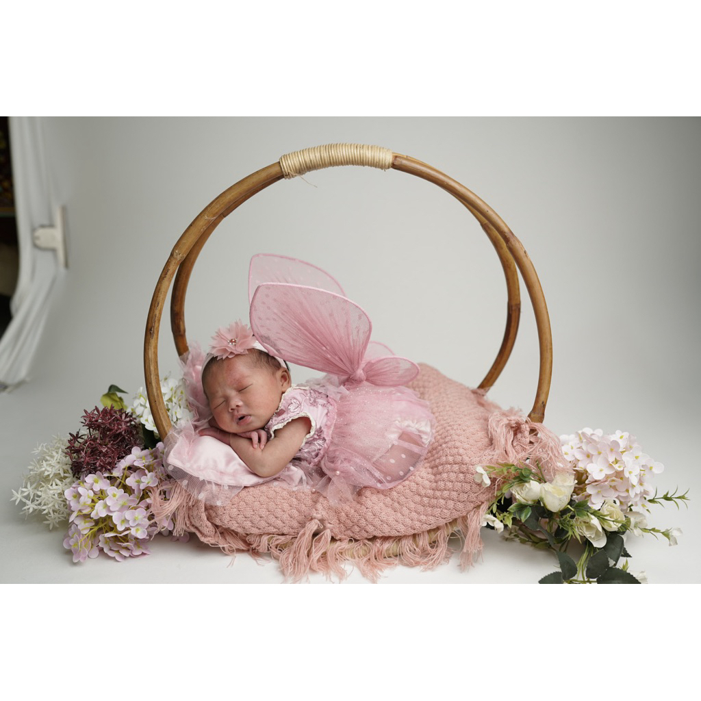 Jual costum tinkerbell full set dress sayap newborn properti