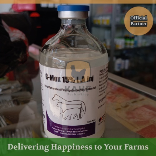Jual G MOX 15% LA Obat Injek Hewan Besar Sapi Kuda Medion mirip ...