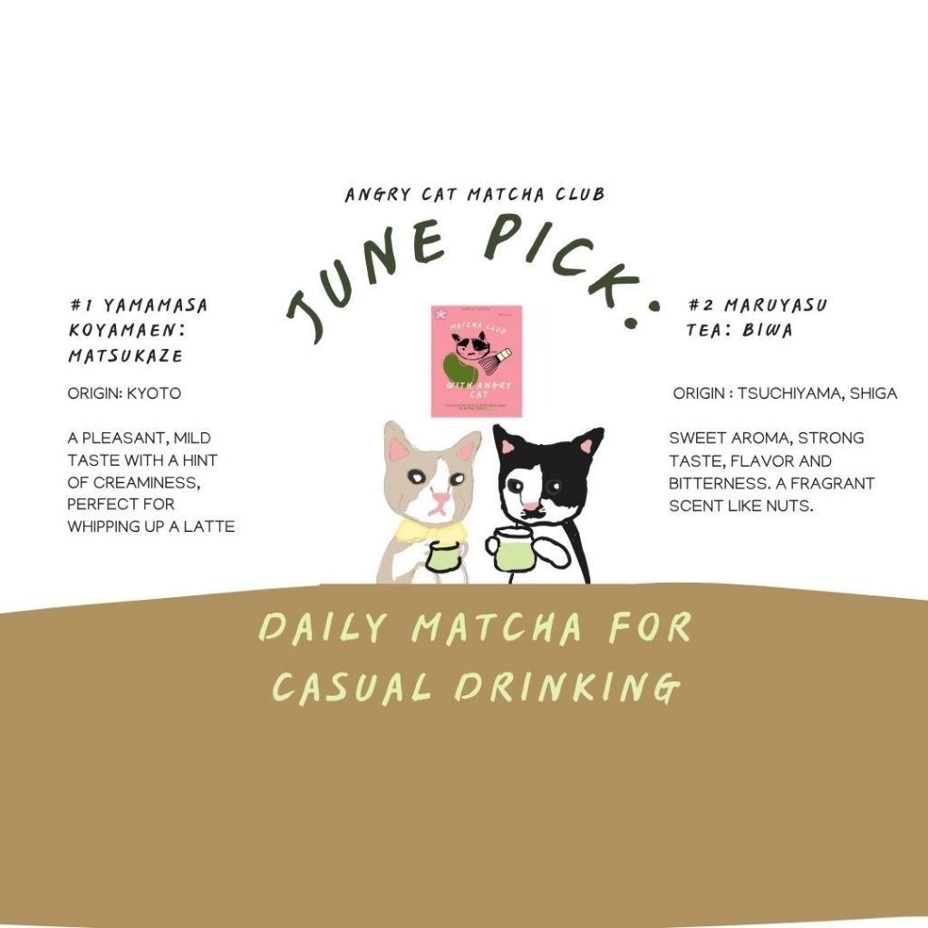 Jual Angry Cat Matcha Club: June pick | Shopee Indonesia