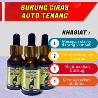 Jual Hewan Jinak Terlengkap Harga Terbaru November 2025 Shopee