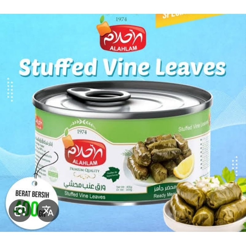 Jual Stuffed Grape leaves with rice Mahsyi Warenab Daun Anggur isi Nasi ...