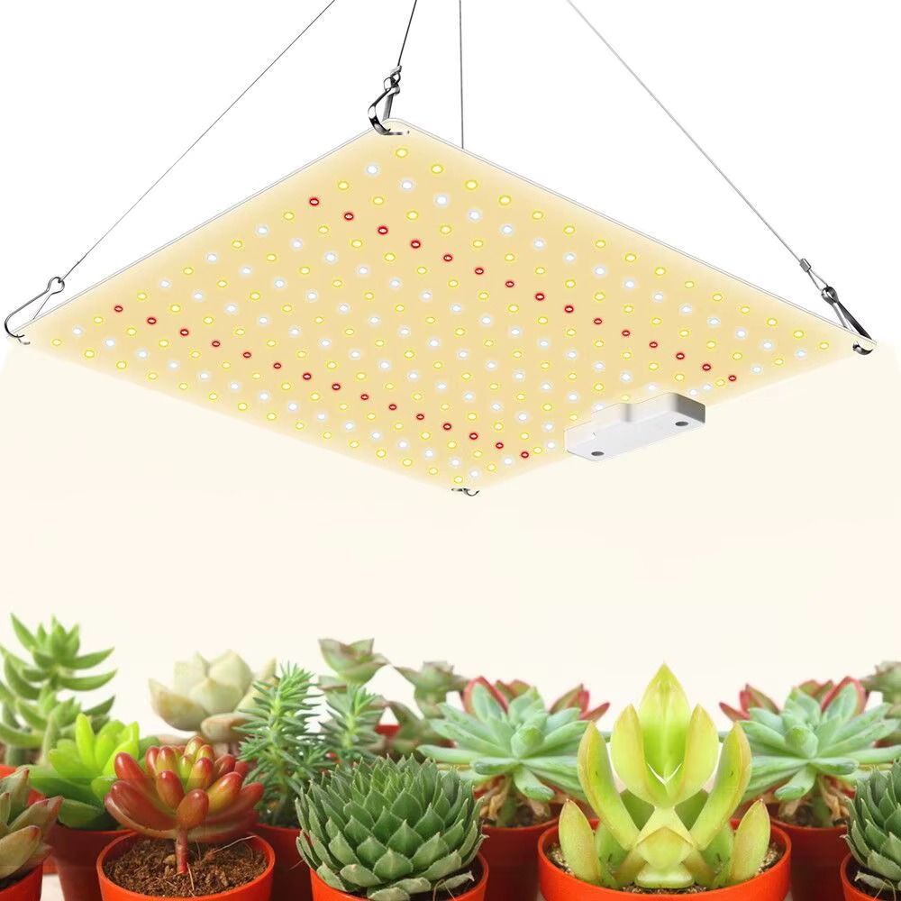 Jual Full Spectrum LED Grow Light Quantum Board Growing Lamp EU Plug ...