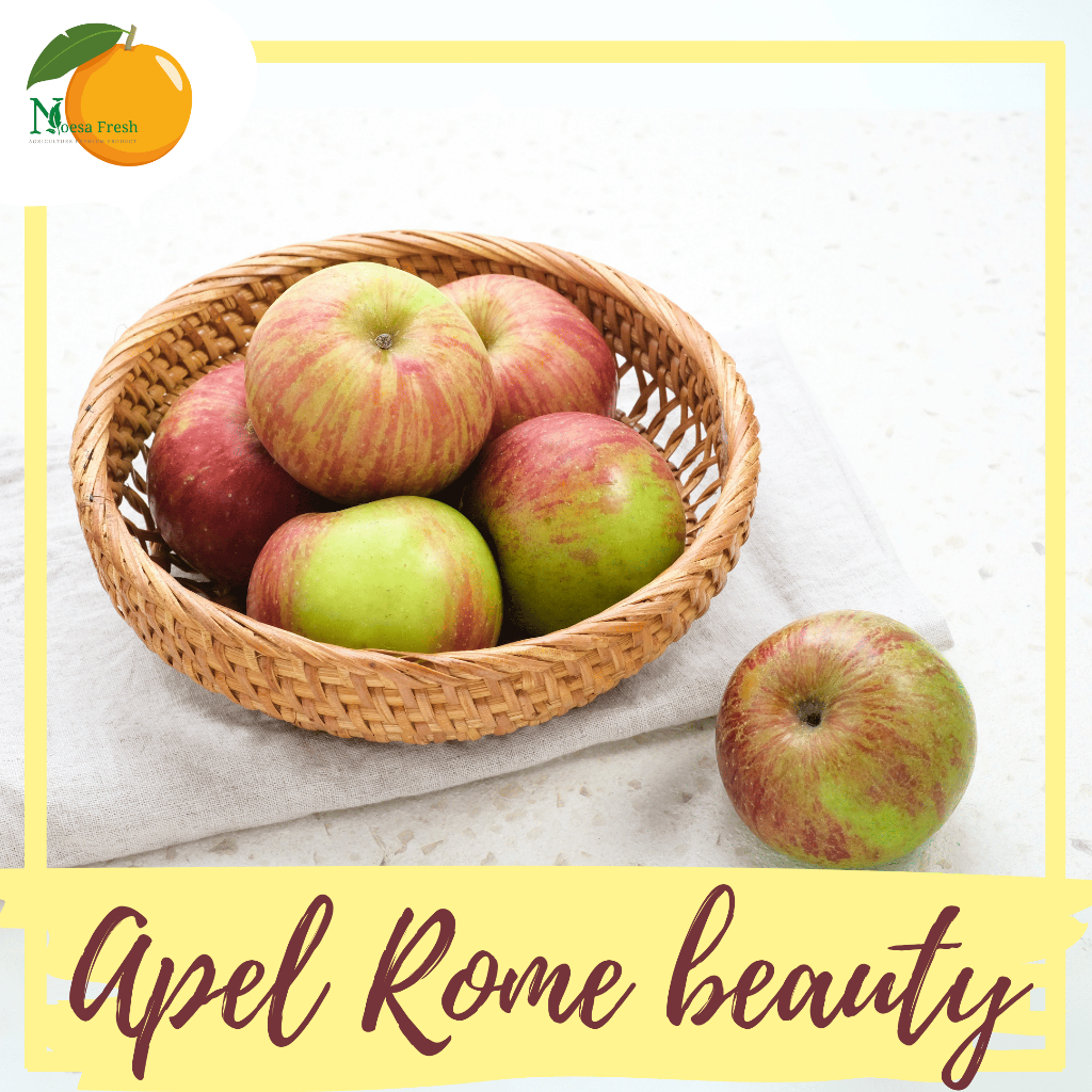 Jual Apel Rome Beauty Malang Fresh 1kg | Oleh-Oleh Khas Batu Malang ...