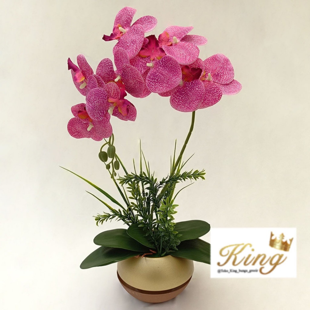 Jual Anggrek Latex 1 Set (Bunga+Pot) Premium Home Dekorasi Bunga Hias ...