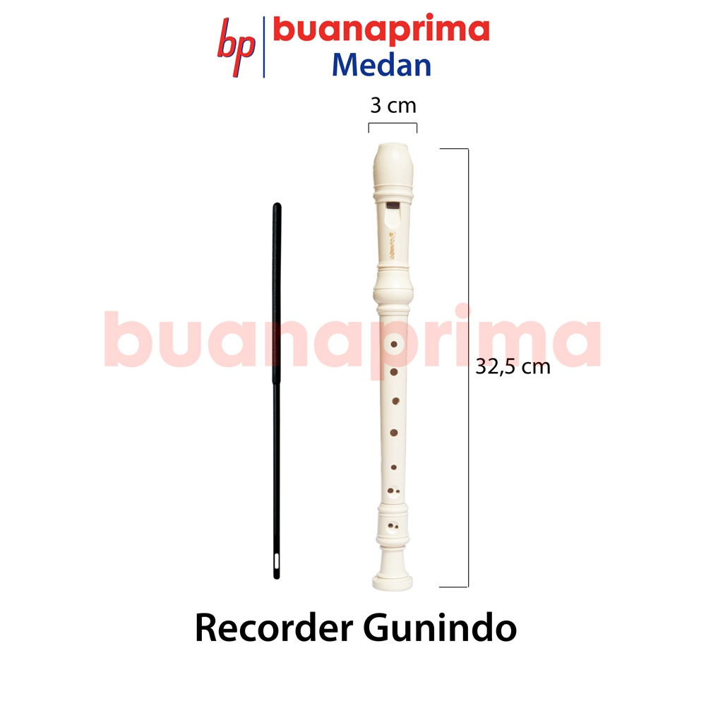 Jual Alat Musik Recorder Terlengkap & Harga Terbaru Juli 2026 | Shopee ...