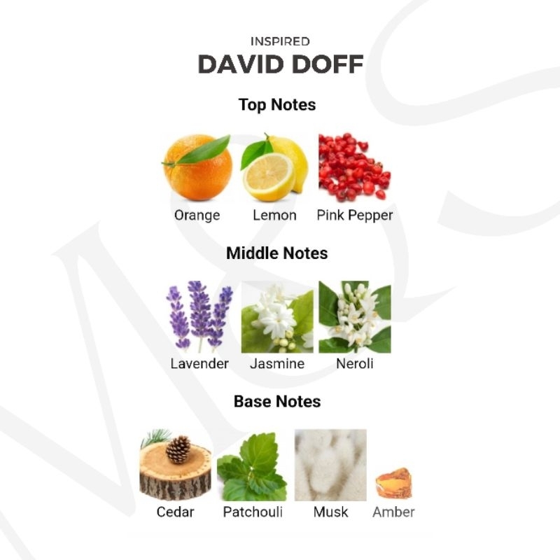 Jual Parfum David Doff Inspired 65ml - Parfum Pria | Shopee Indonesia