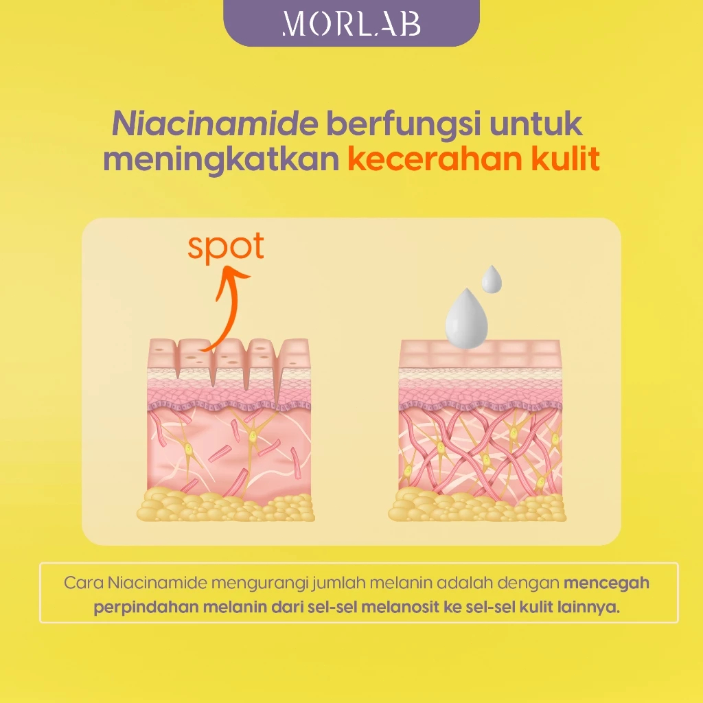Jual MORLAB - V10 VITAMIN TONE UP CREAM WITH IDEBENONE 50ML Melembabkan ...
