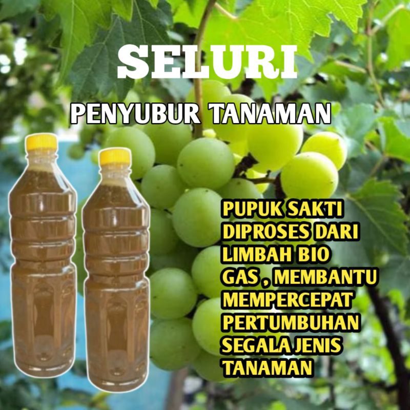 Jual SELURI - Pupuk Penyubur Segala Jenis Tanaman 1 Liter | Shopee ...