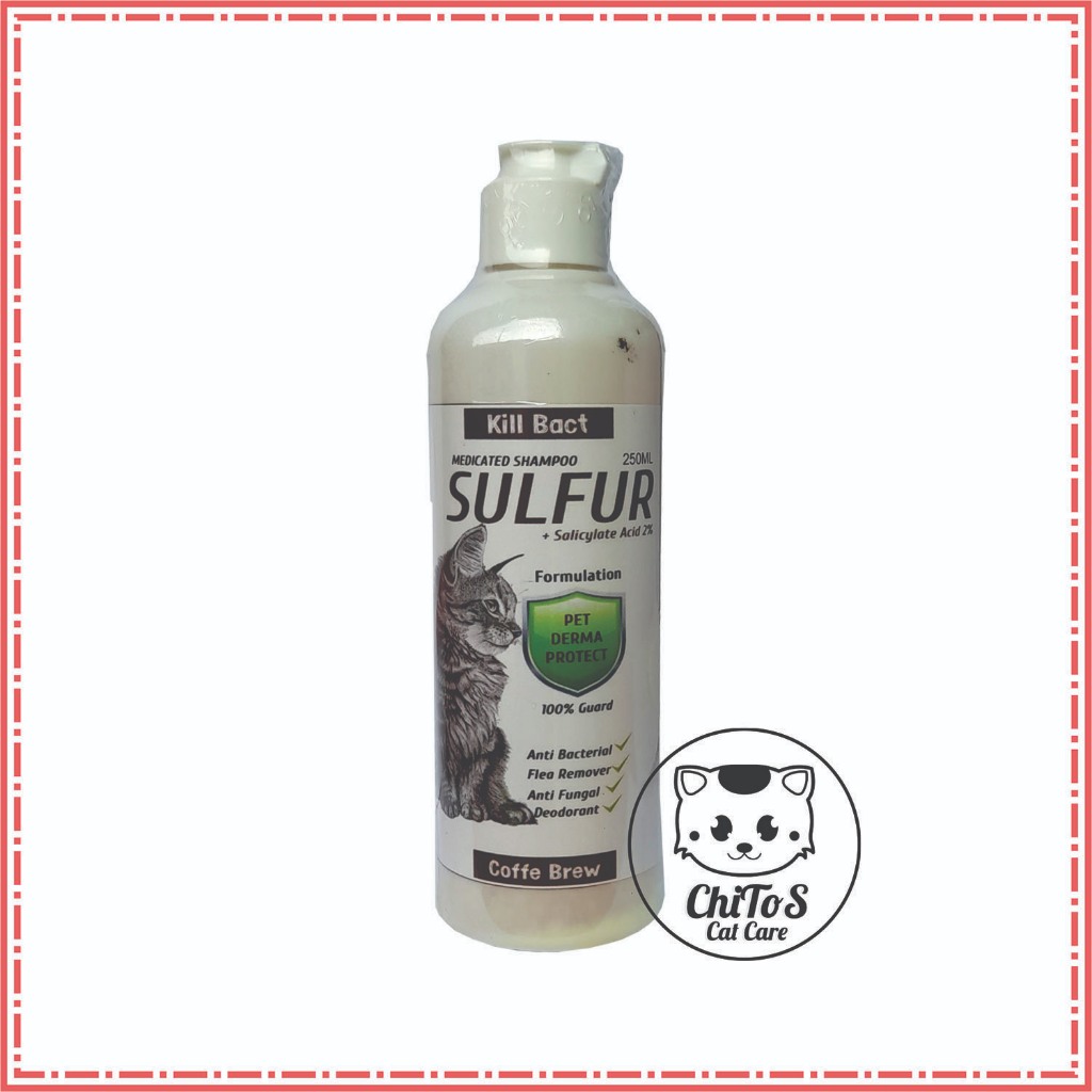 Jual SHAMPO ANTI JAMUR DAN KUTU KUCING PAKET HEMAT 3 BOTOL SAMPO SHAMPO ...