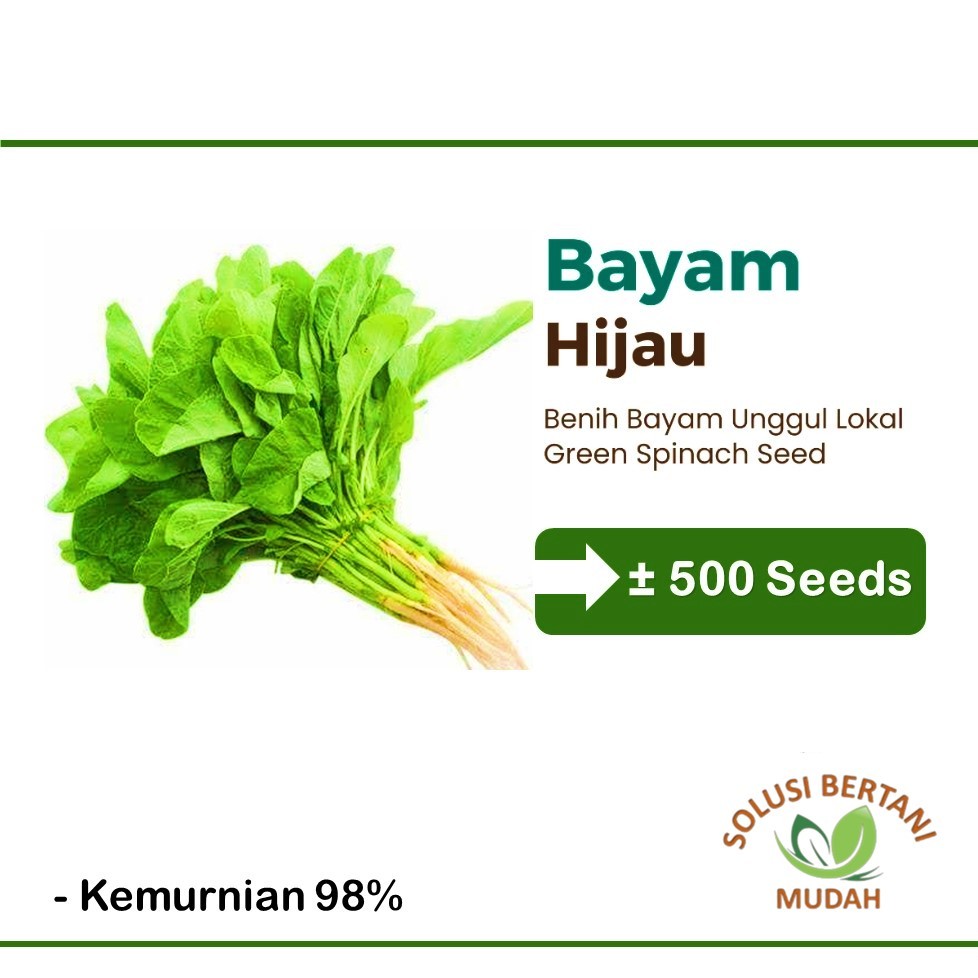 500 Biji Bibit Benih - Sayur Sayuran Bayam Hijau Unggul