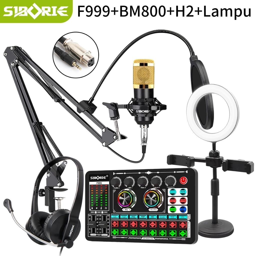 Siborie Soundcard F999 + BM800