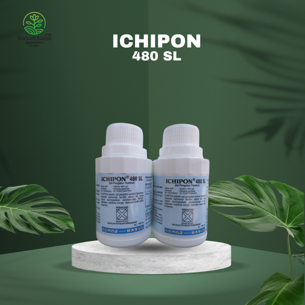 Jual ICHIPON 480SL (100ml) | Shopee Indonesia