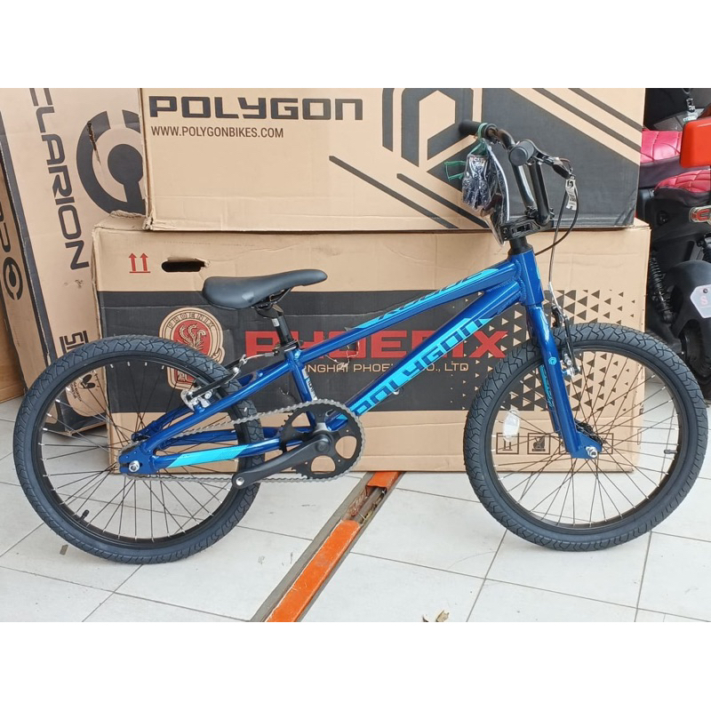 Jual SEPEDA ANAK / JUNIOR BIKE BMX 20 inch POLYGON ROGUE GARANSI RESMI ...
