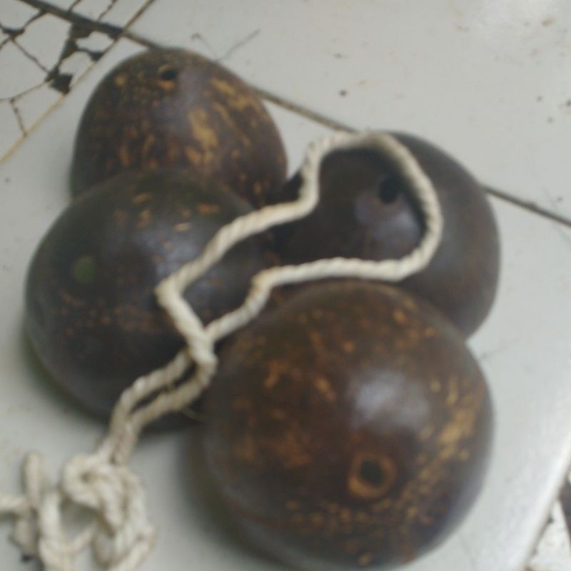 Jual Egrang batok kelapa,SEPASANG, 2 BATOK tempurung,kerajinan,mainan ...