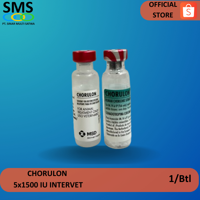 Jual Hormon HCG CHORULON 1500 IU INTERVET (Satuan) | Shopee Indonesia