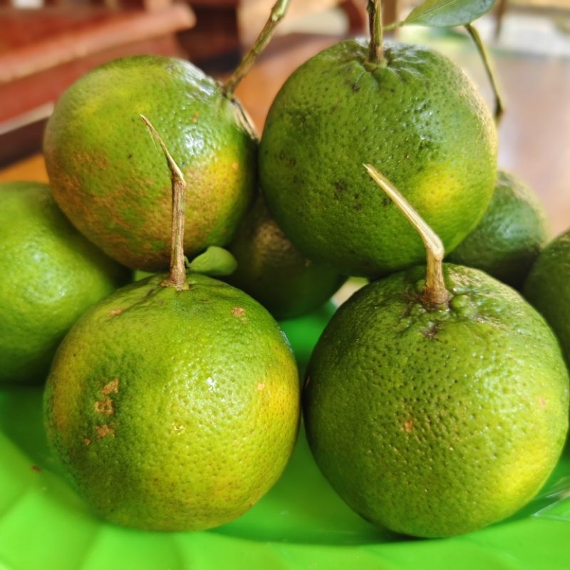Jual jeruk keprok terigas rasa asam manis seger wangi khas jeruk squos ...