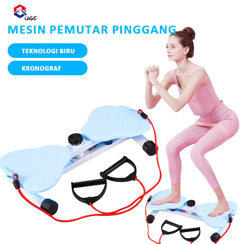 Waist Twisting Disc