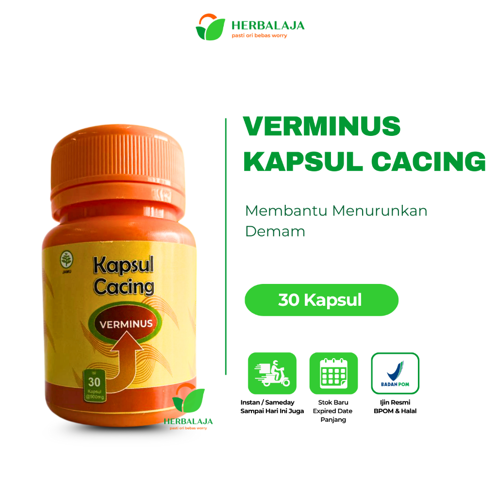Jual Kapsul Cacing Ekstrak Lumbricus VERMINUS Cacing Untuk Demam Tipes ...