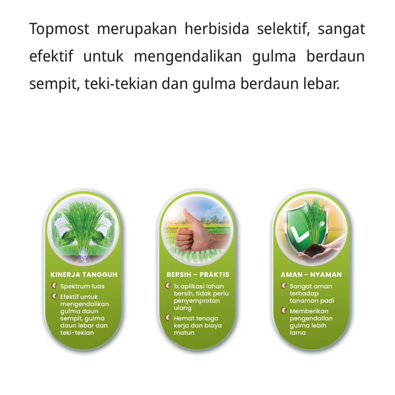 Jual Topmost 30/300 OD Herbisida Padi 250ml | Shopee Indonesia