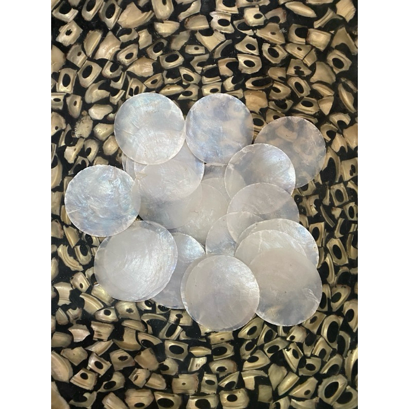 Jual Kerang Capiz_Capiz Shell_Kerang Laut | Shopee Indonesia