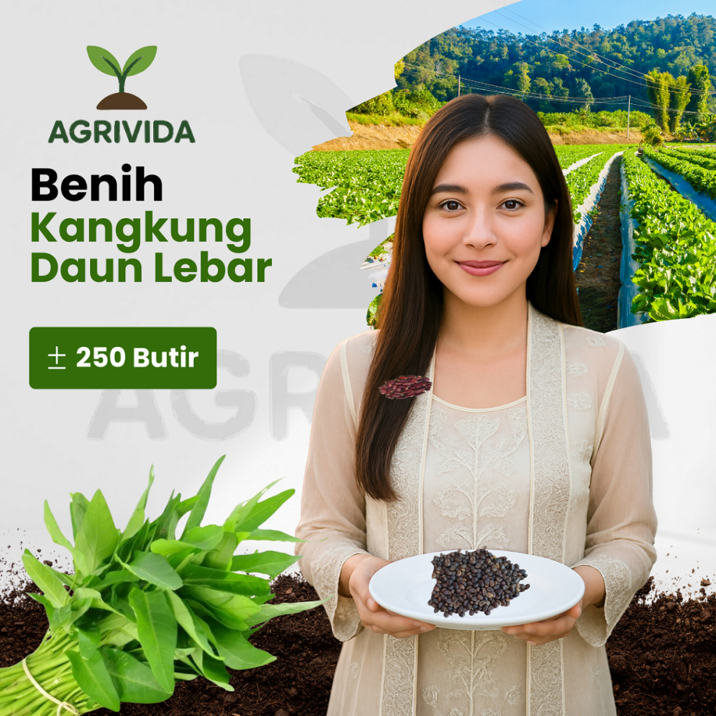 Jual Agrivida - Benih Kangkung Daun Lebar 250 Butir Cepat Tumbuh, Daun ...
