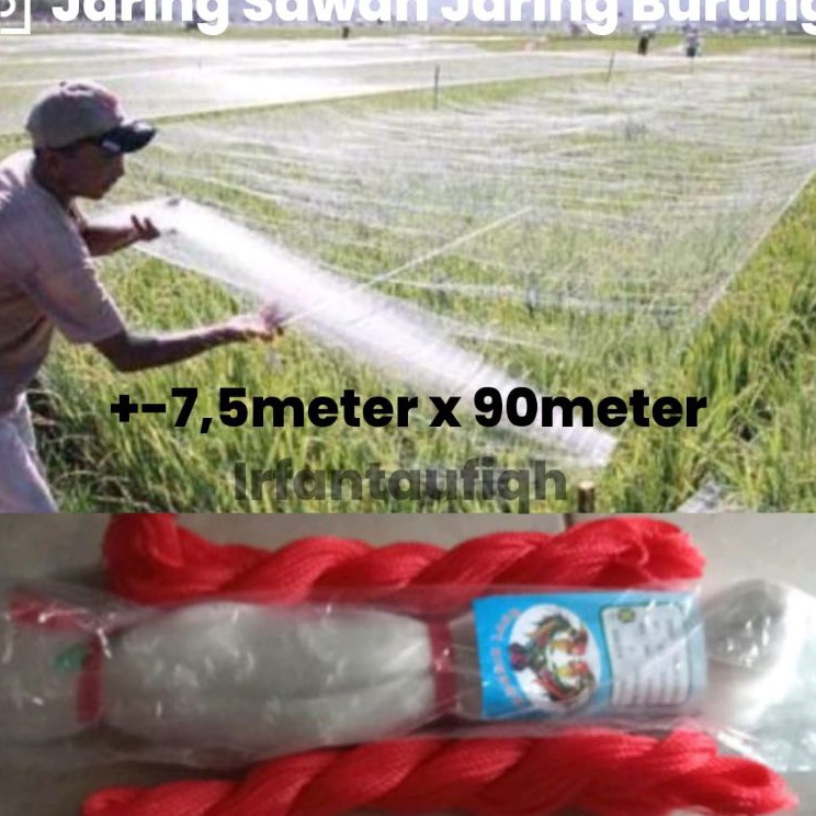 Jual COD Jaring Burung Jaring Sawah pengaman Padi | Shopee Indonesia