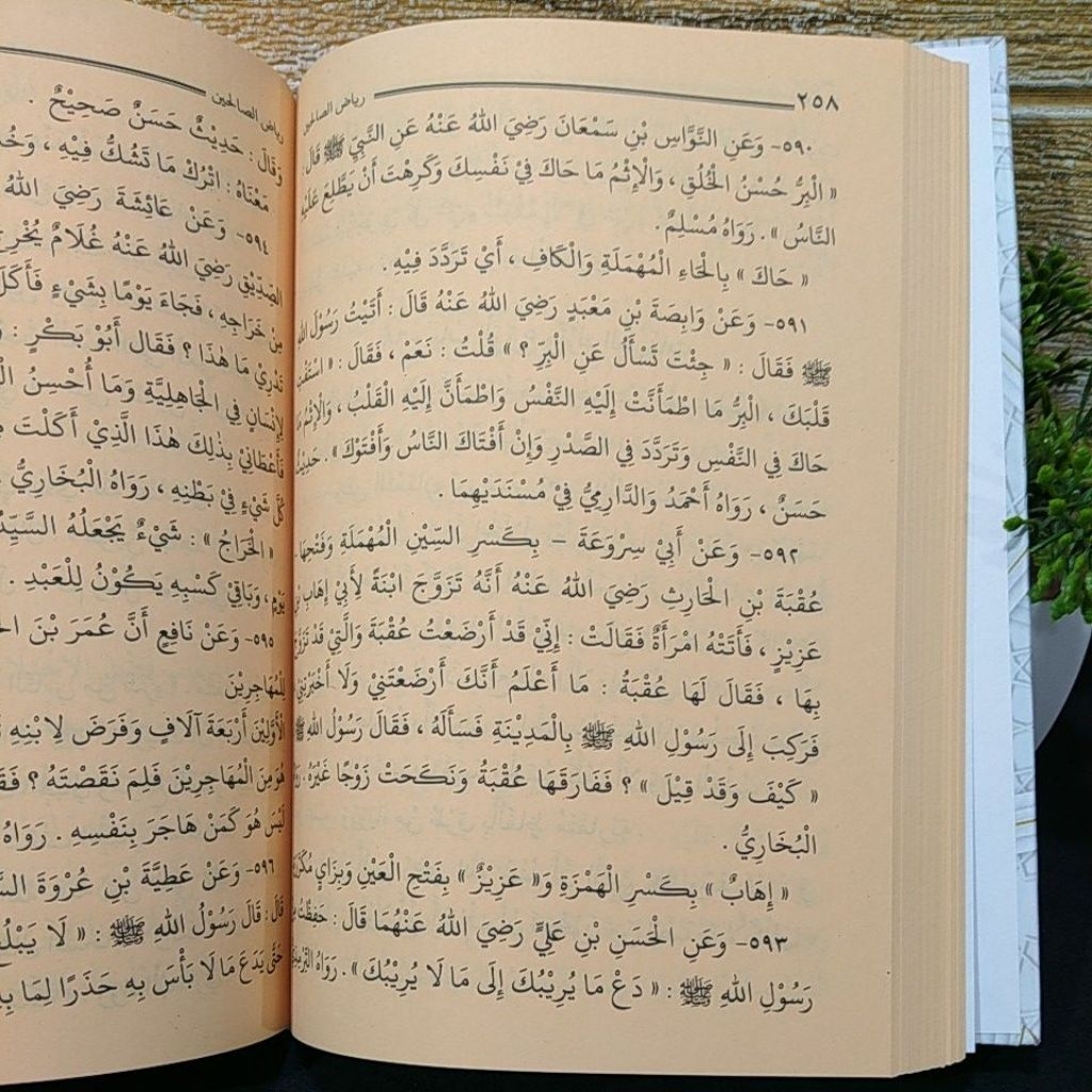 Jual KITAB KUNING RIYADHUS SHALIHIN LUX Kertas Kuning | Shopee Indonesia