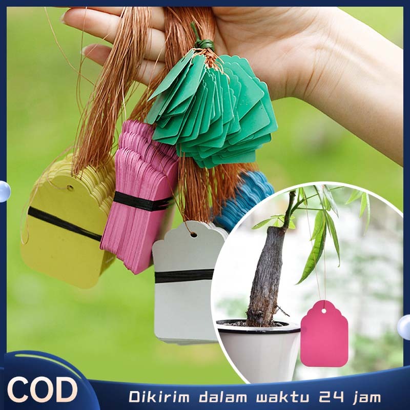 Jual Label Tanaman Gantung Nametag Tanaman Penanda Label Tanaman ...