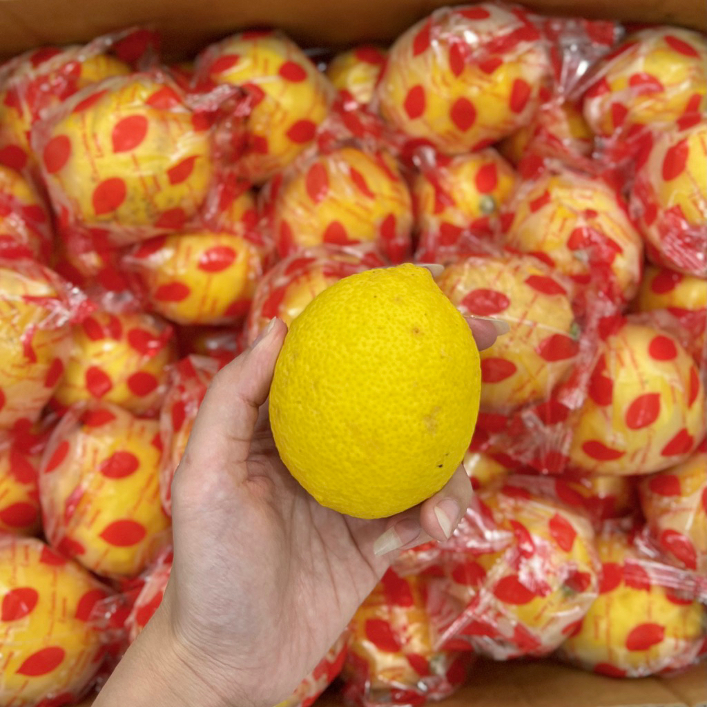 Jual LEMON RRC 1 KG | BUAH LEMON SEGAR banyak air fresh | Shopee Indonesia