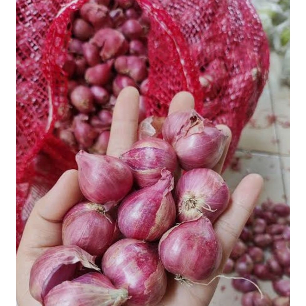 Jual BAWANG MERAH BREBES SEDANG DAN BESAR | Shopee Indonesia