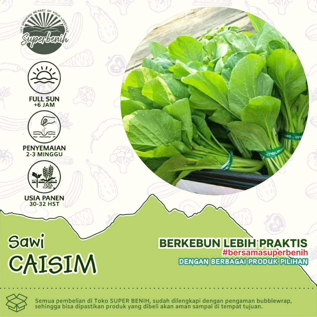 Benih Sawi Caisim Unggul [Isi 250 Biji] - Bibit Sayur Sawi Bakso Daun Lebar - Biji Tanaman Sayuran Hidroponik Dan Media Tanah Atau Polybag