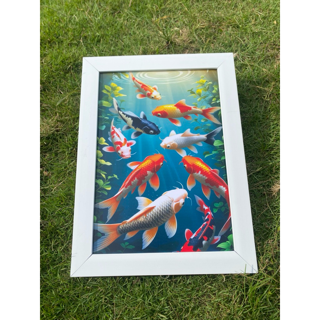 Jual Pigura / Frame putih uk 66x46cm gambar 9 ikan Koi+gantungan ...