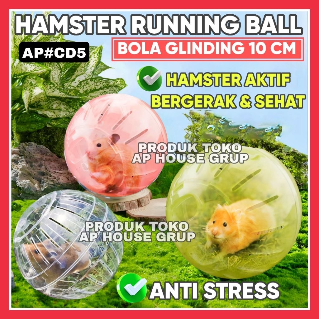 Jual BOLA GLINDING HAMSTER MINI《10 Cm》|| HAMSTER ROTATION BALL MINI ...