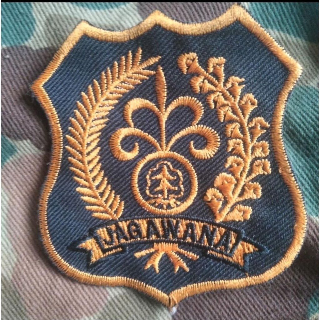 Jual patch jadul polhut patch tactical jagawana morale patch aktivis ...