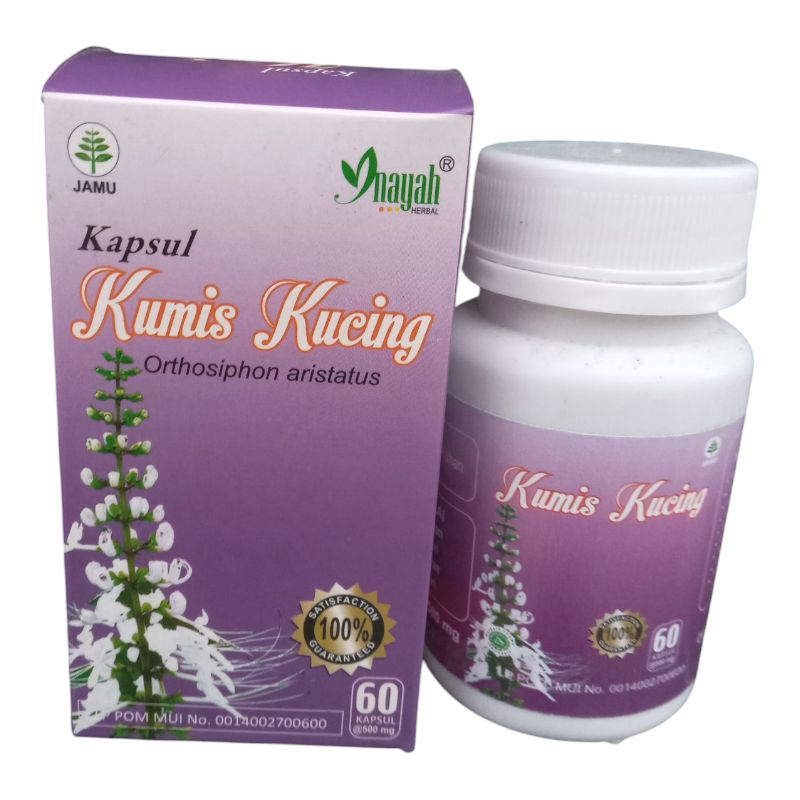 Jual Kapsul Kumis Kucing Inayah/Herbal Infeksi Saluran Air Seni 60kp