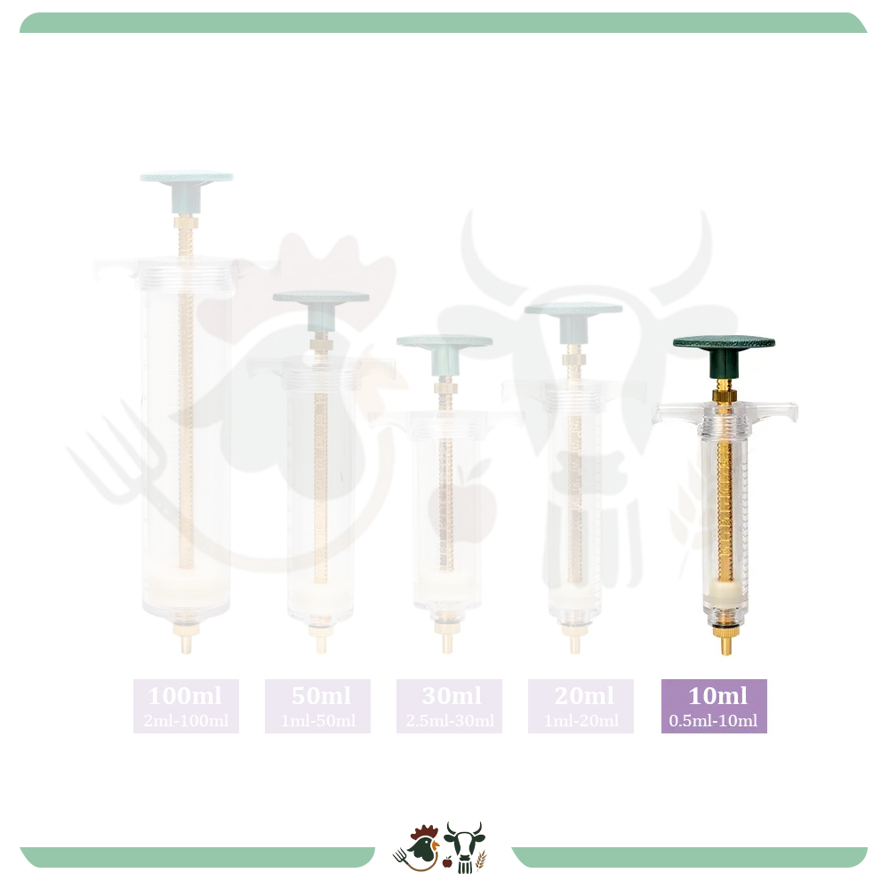 Jual Suntikan Reguler 10ml suntikan tanpa jarum Syringe parfum spuit ...