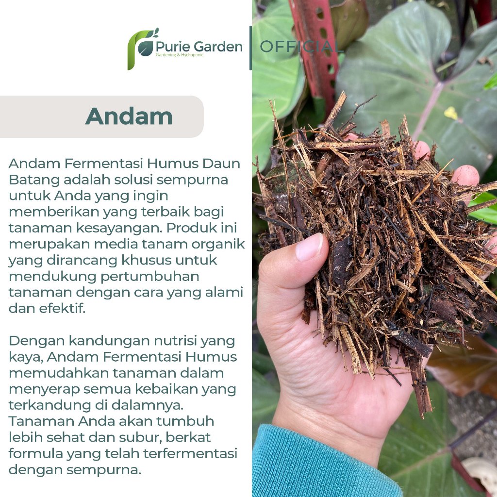 Jual CUCI GUDANG Andam Fermentasi Humus Daun Batang Media Tanaman Hias ...