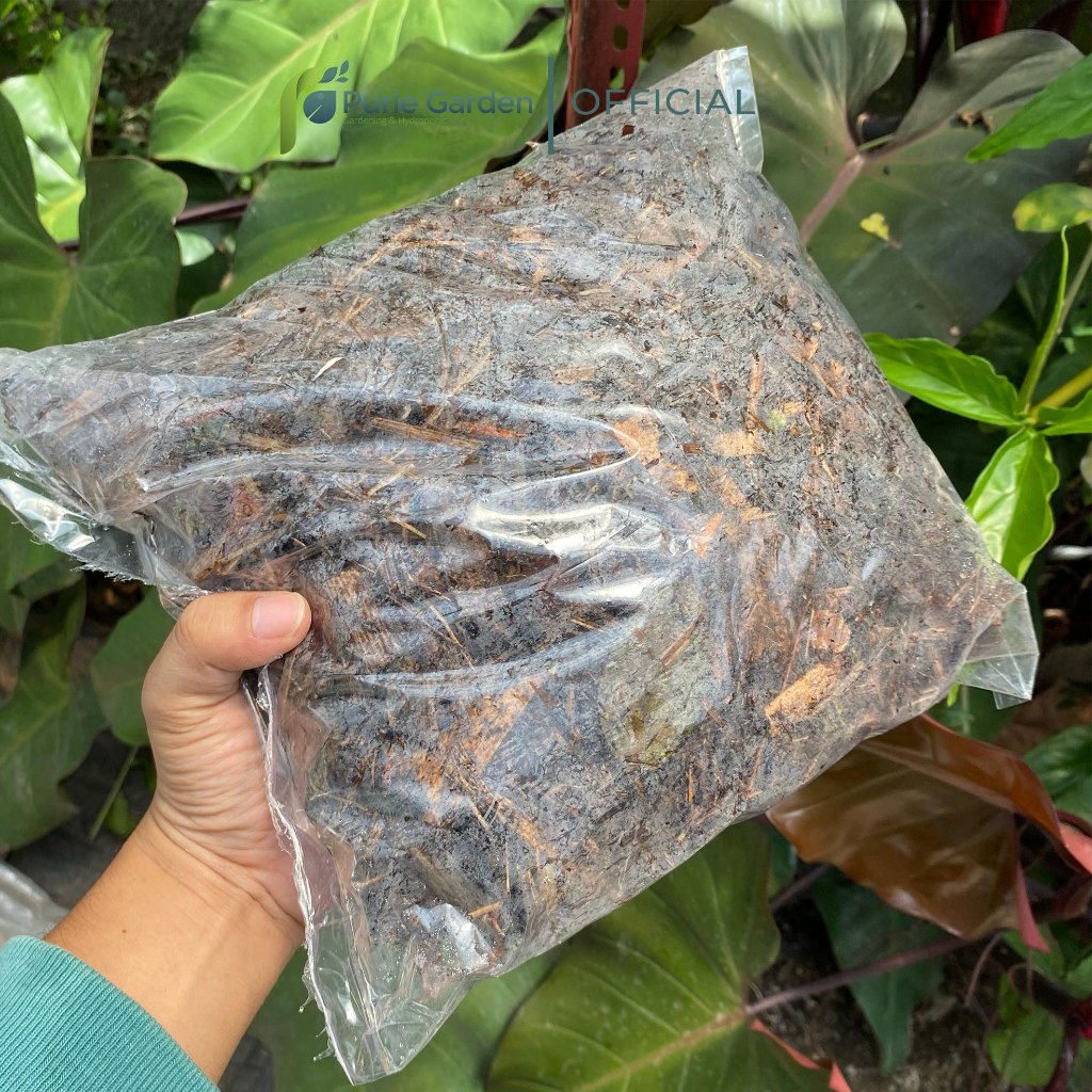 Jual CUCI GUDANG Andam Fermentasi Humus Daun Batang Media Tanaman Hias ...