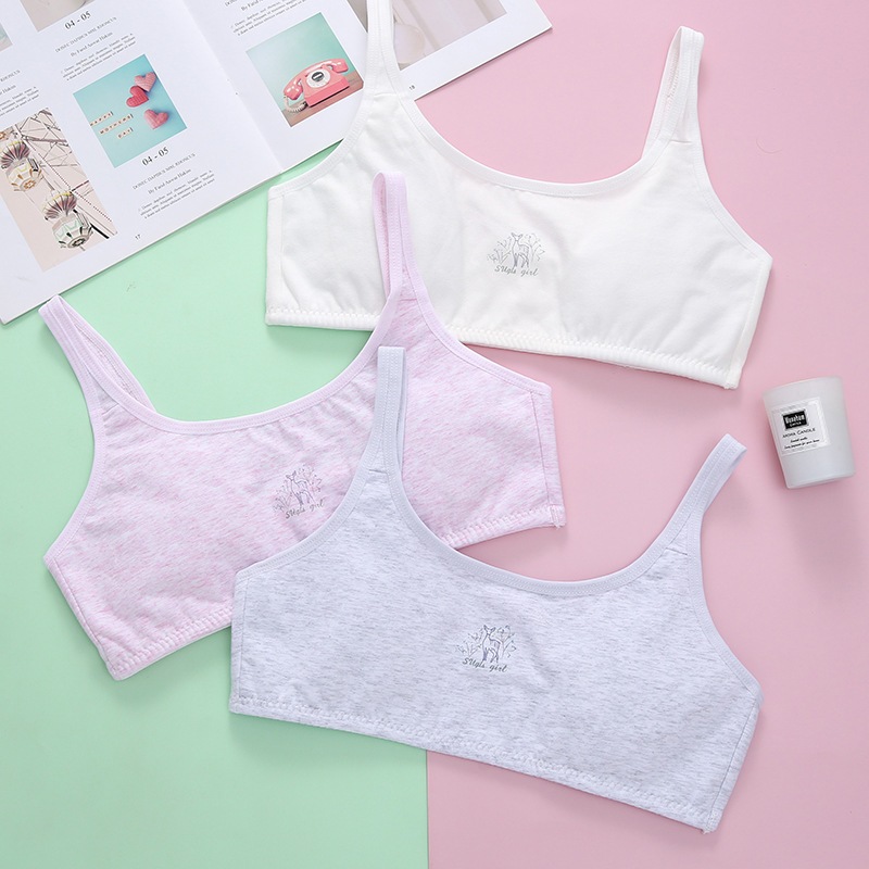 Jual MS41 Miniset Pakaian Dalam Mini Set Deer Motif Sd Smp Bra Anak ...