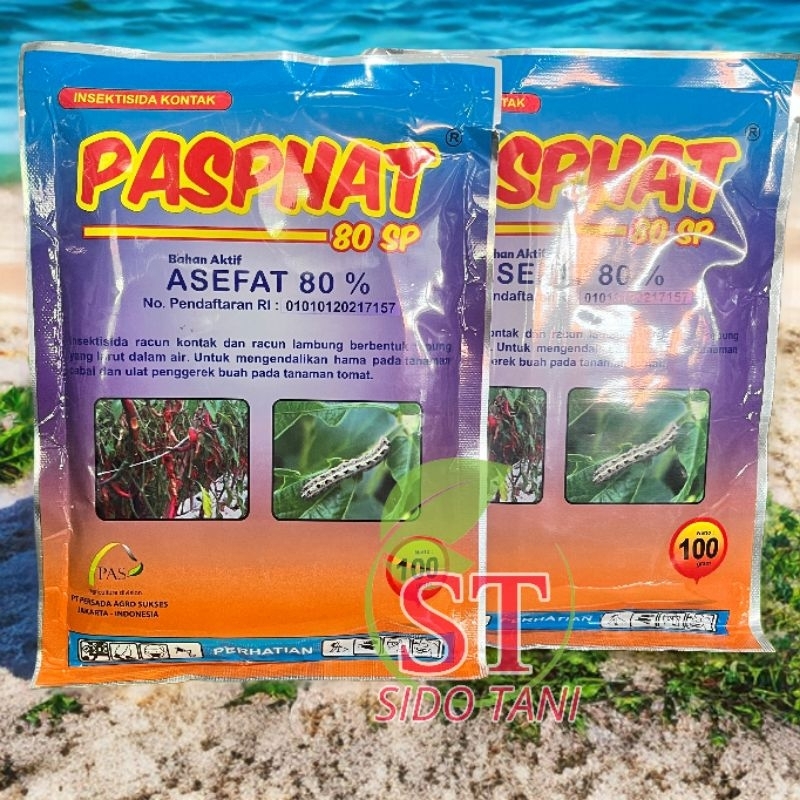 Jual Insektisida Pasphat 100gram insektisida asefat 80SP diatasnya ...