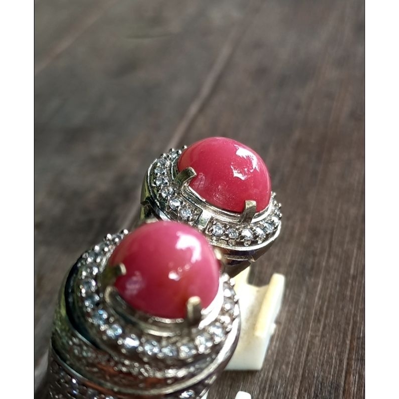 Jual red borneo super HQ | Shopee Indonesia