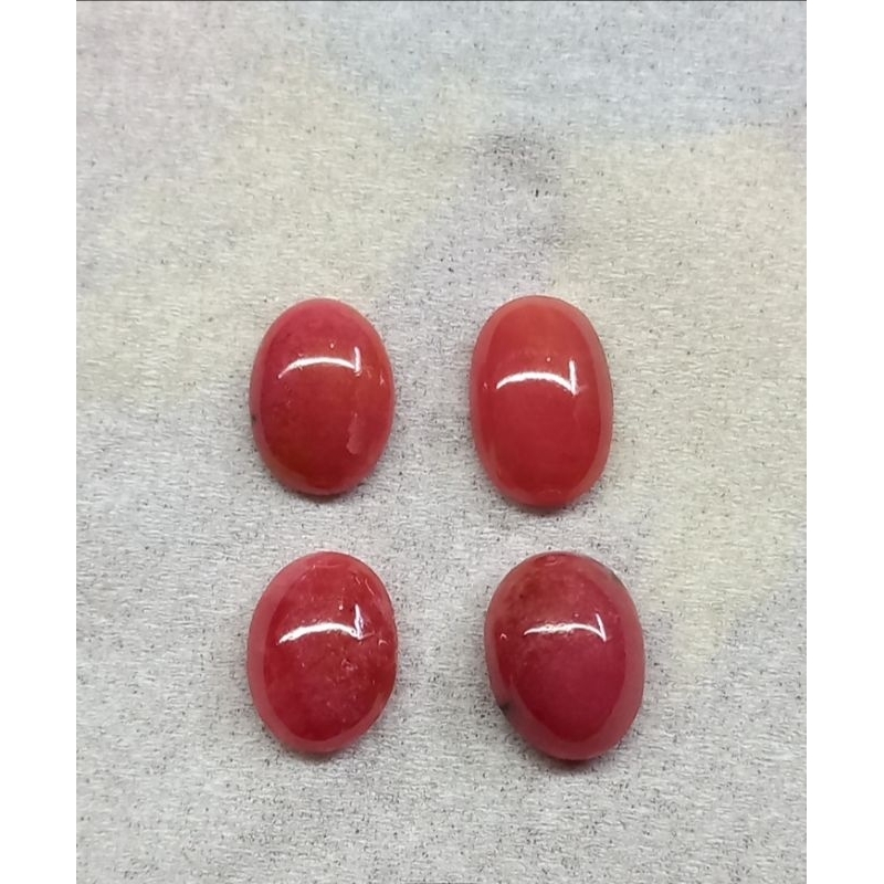Jual red borneo super HQ | Shopee Indonesia