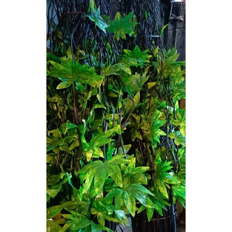 Jual 10 BATANG BAMBU ULIR DAUN MAPLE T -+180cm | Shopee Indonesia
