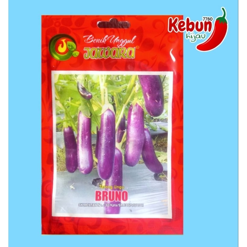 benih terong ungu panjang bruno +- 900 biji 4 gr