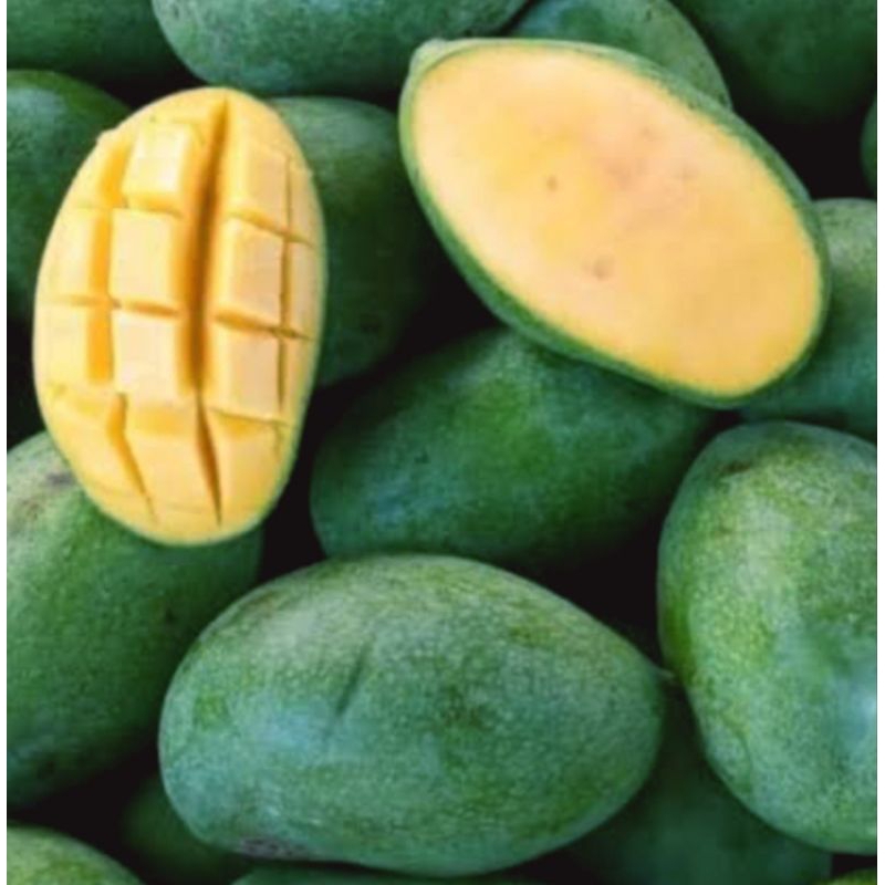 Jual MANGGA MADU MANALAGI FRESH MANIS (1 KG ) | Shopee Indonesia