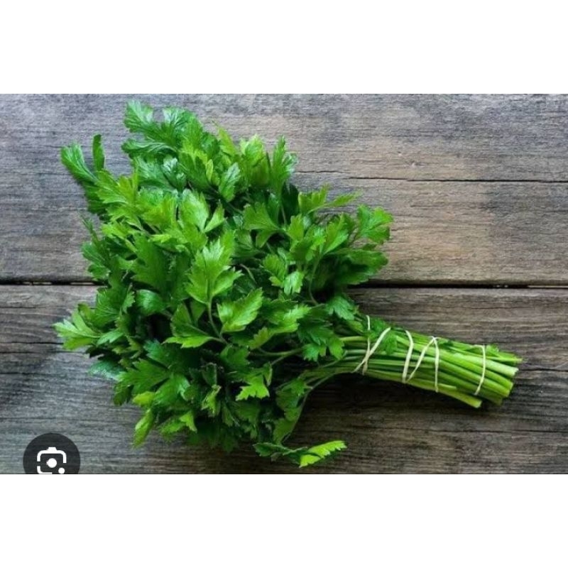 Jual Daun Sop Terlengkap & Harga Terbaru Juni 2026 | Shopee Indonesia