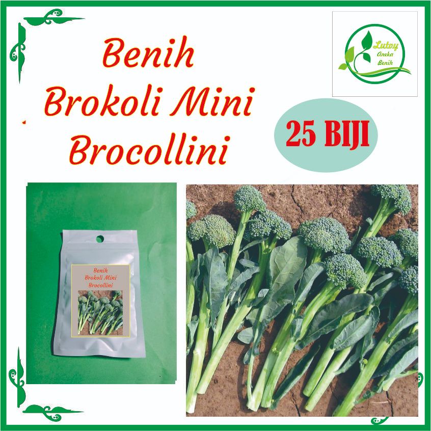 BENIH BROKOLI MINI BROCOLLINI ISI 25 BIJI