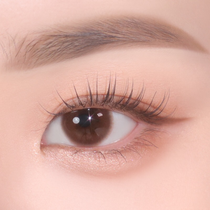 Jual Pink Rabbit Softlens Pure Brown - Normal/Minus | Shopee Indonesia