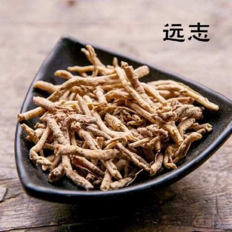 Jual 100gr yuan zhi rou premium polygala tenuifolia willd polygalae ...